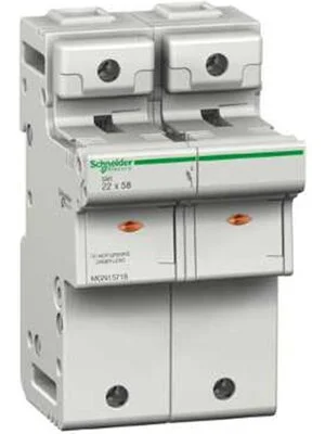 ΑΣΦΑΛΕΙΟΘΗΚΗ ΡΑΓΑΣ AC 230VAC 2P ΓΙΑ ΦΥΣΙΓΓΙΑ 22x58mm 125Α, SCHNEIDER-ELECTRIC